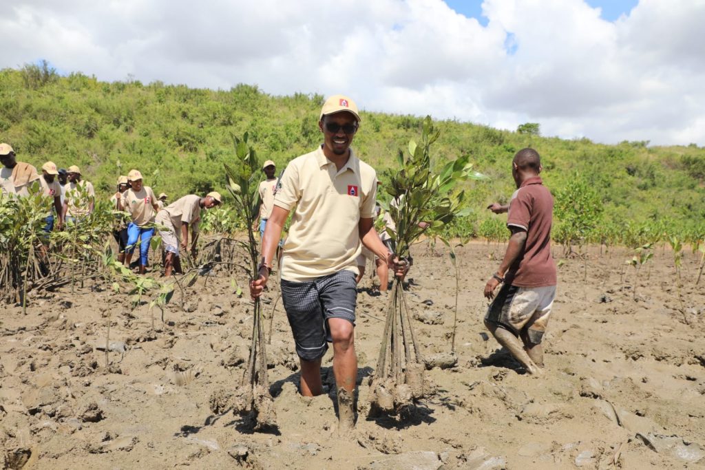 KPC staff participate in planting mangrove trees in Jomvu, Mombasa - TO REPLACE PAGE 46 PHOTO